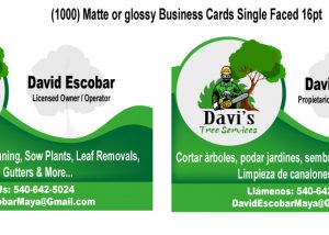 Davi's Tree Services